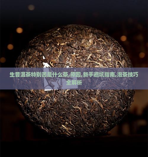 生普洱茶特别苦是什么茶