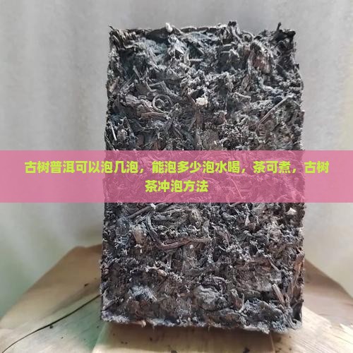 古树普洱可以泡几泡