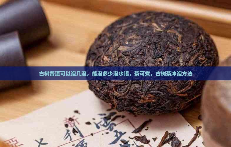 古树普洱可以泡几泡