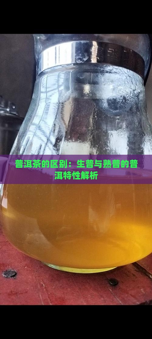 普洱茶的生普和熟普有什么区别
