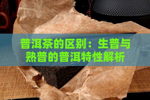 普洱茶的生普和熟普有什么区别