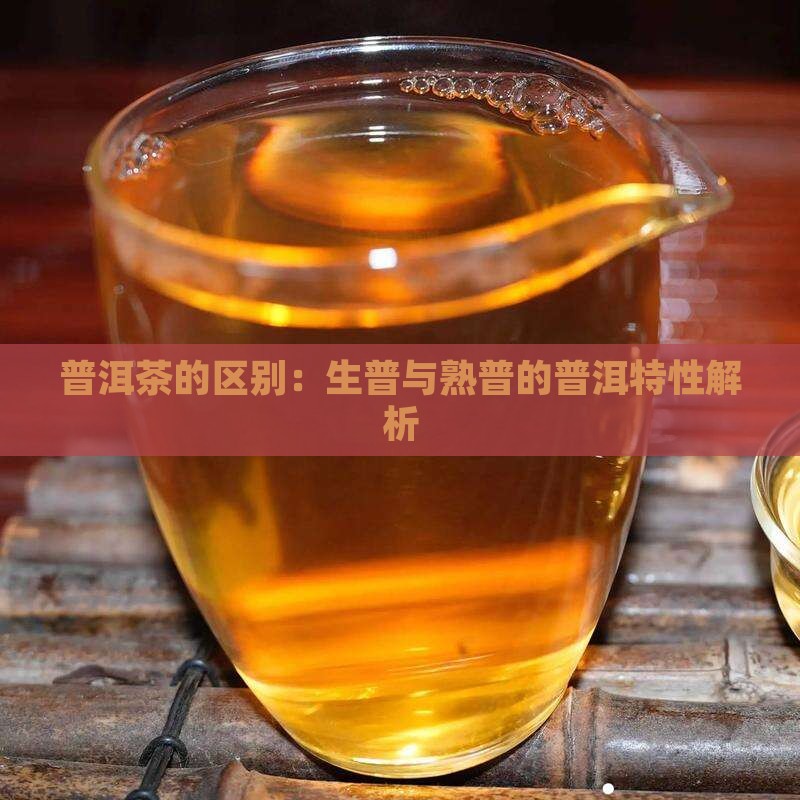 普洱茶的生普和熟普有什么区别