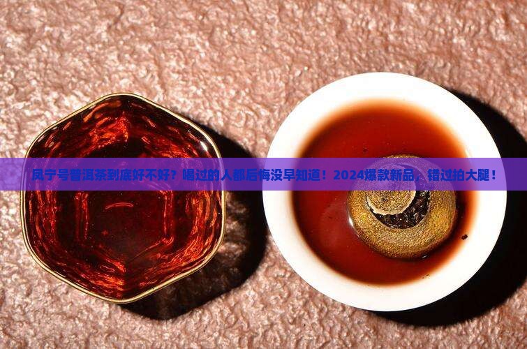 凤宁号普洱茶好吗