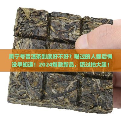 凤宁号普洱茶好吗