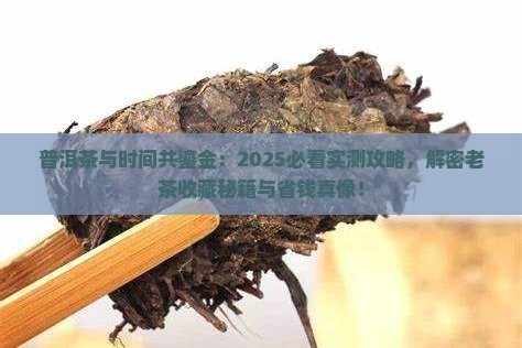 普洱茶与时间共鎏金