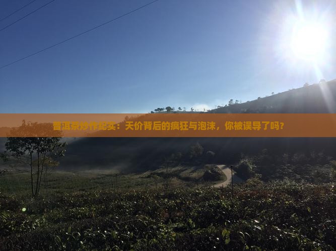 普洱茶炒作纪实