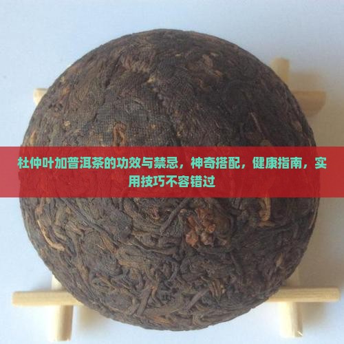 杜仲叶加普洱茶的功效与禁忌
