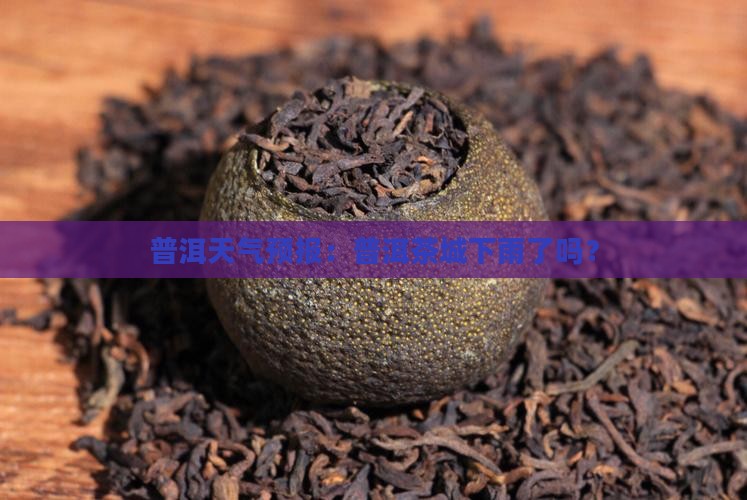普洱茶城下雨了吗