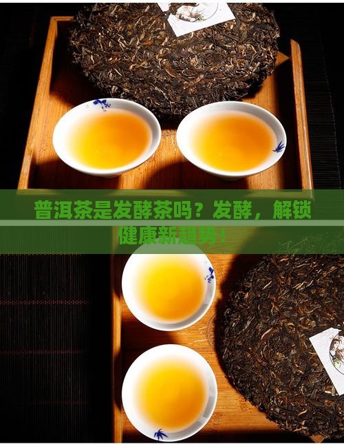 普洱茶就是发酵茶