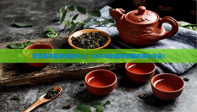 普洱茶极品是什么
