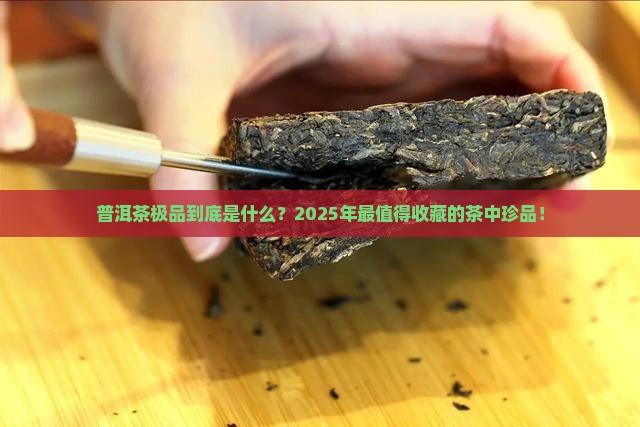 普洱茶极品是什么