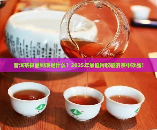 普洱茶极品是什么