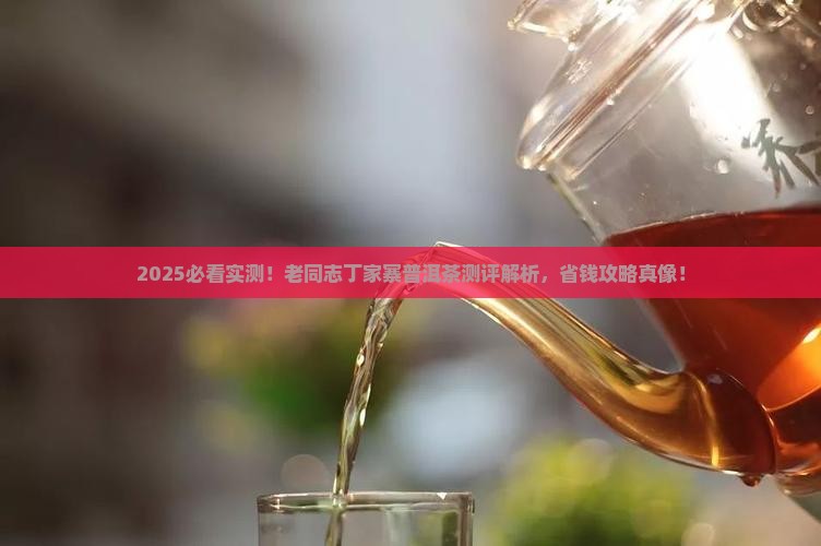 老同志丁家寨普洱茶测评