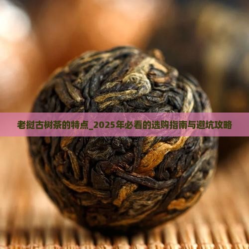 老挝古树茶的特点