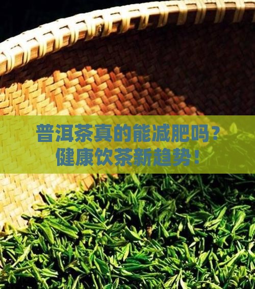 普洱茶宣传标语