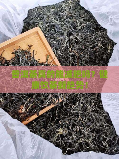 普洱茶宣传标语