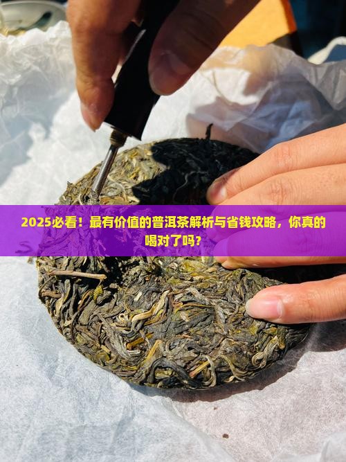 最有价值的普洱茶