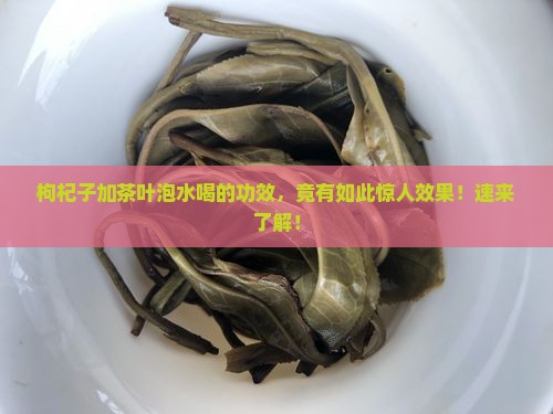 枸杞子加茶叶泡水喝的功效