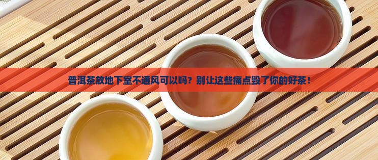 普洱茶放地下室不通风可以吗