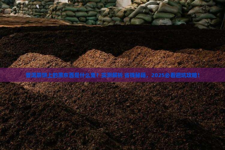 普洱茶饼上面有黑色的东西