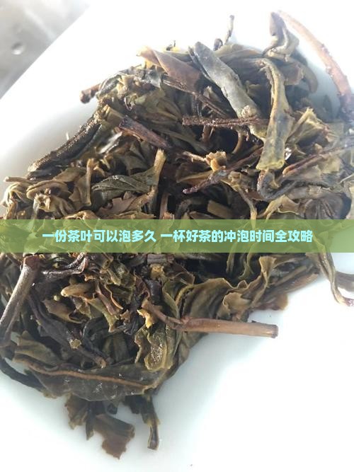 一份茶叶可以泡多久