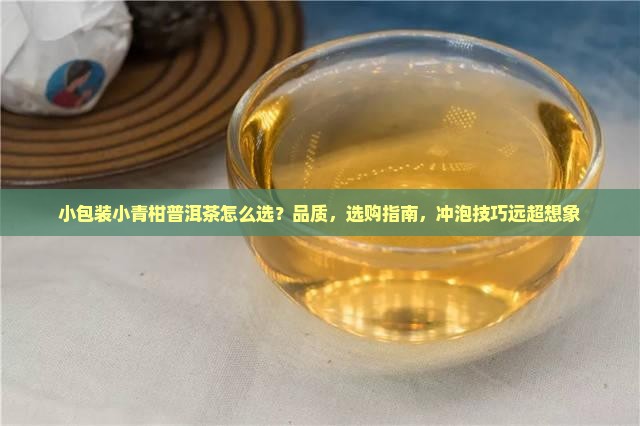 小包装小青柑普洱茶
