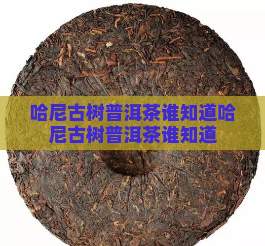 哈尼古树普洱茶谁知道