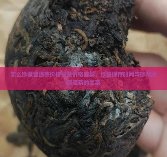 怎么珍藏普洱茶价格