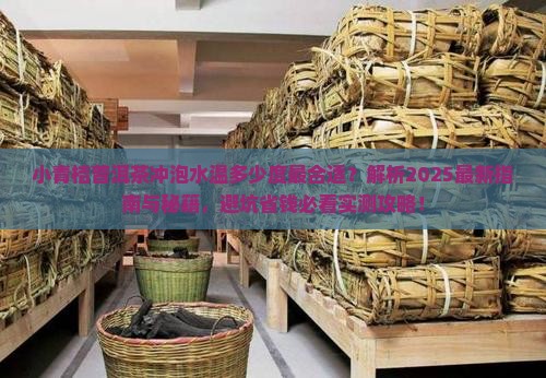 小青桔普洱茶冲泡水温