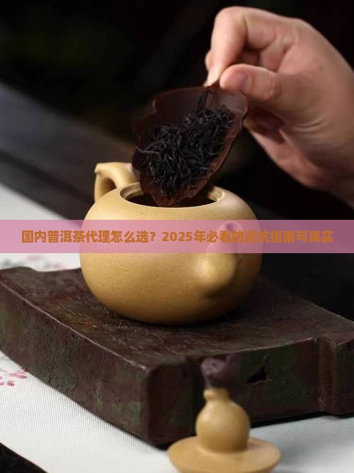 国内知名普洱茶代理条件