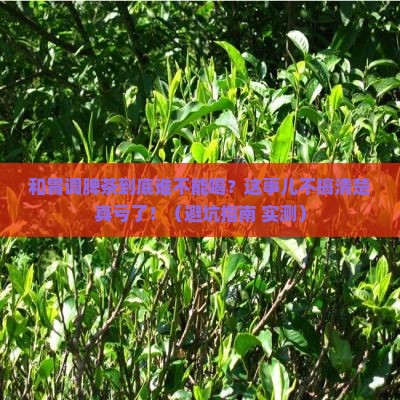 和胃调脾茶什么人不能喝