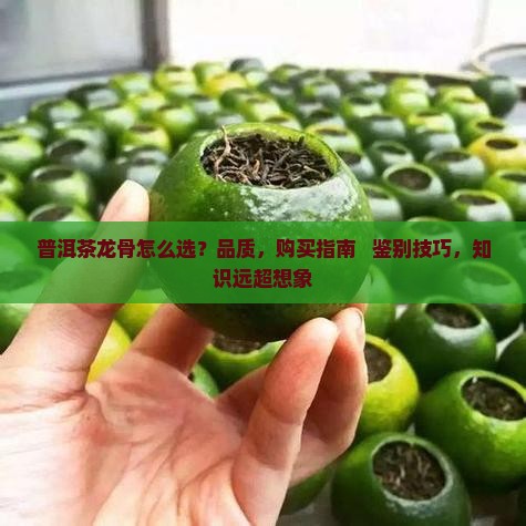 普洱茶龙骨品牌