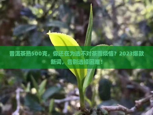 普洱茶熟500克