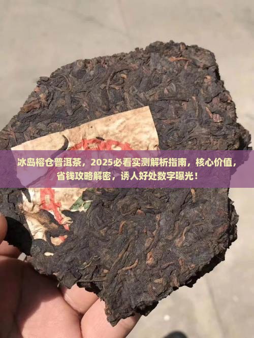 冰岛榕仓普洱茶