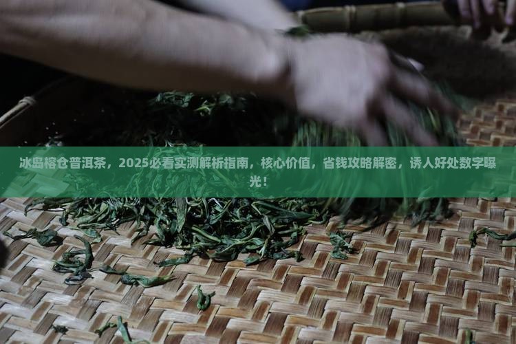 冰岛榕仓普洱茶