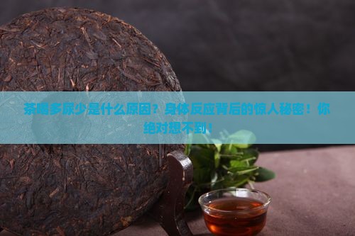 茶喝多尿少是什么原因