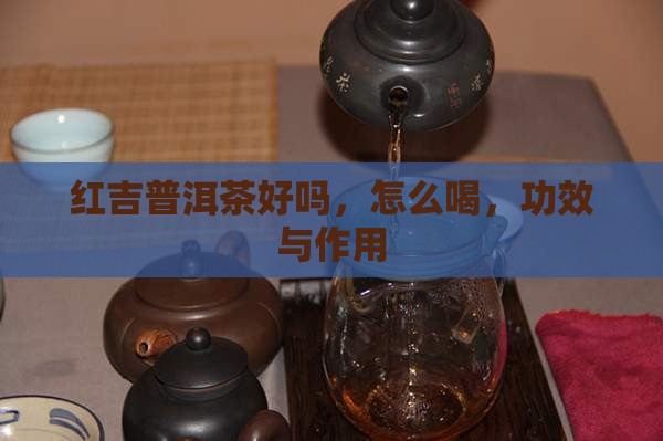 红吉普洱茶好吗