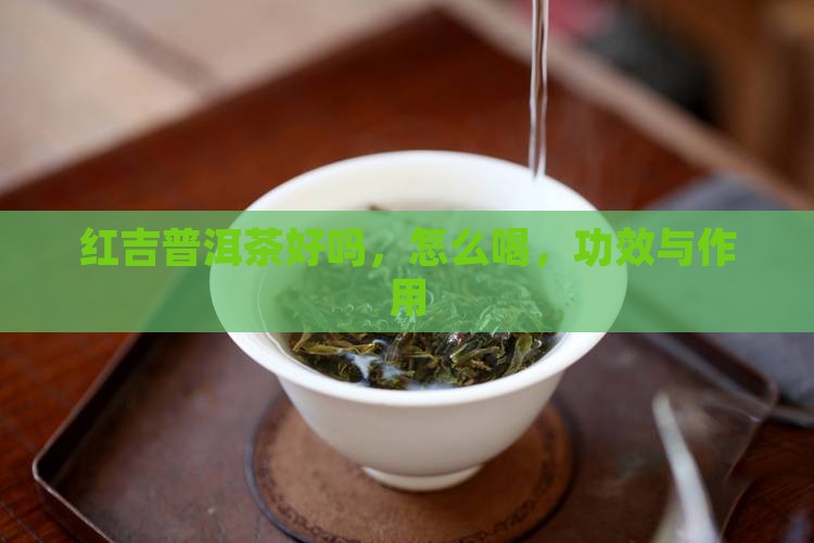 红吉普洱茶好吗