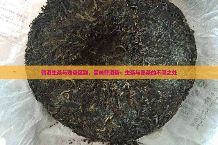 普洱生茶与熟茶区别品普洱茶