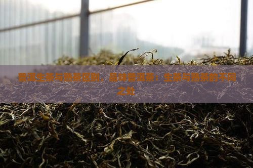 普洱生茶与熟茶区别品普洱茶