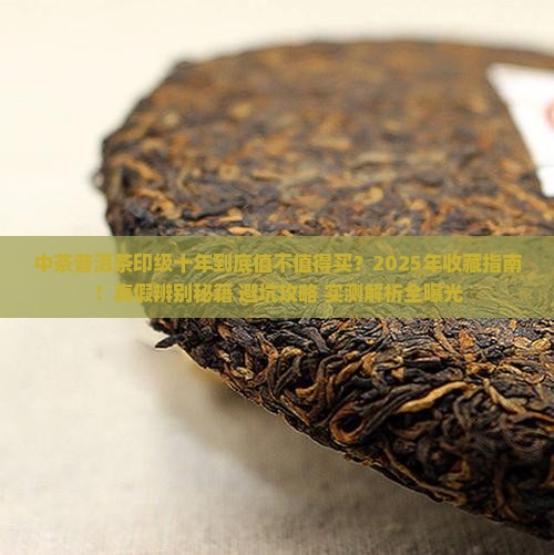 中茶普洱茶印级十年