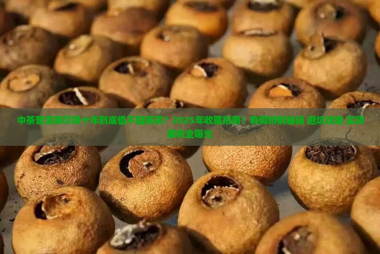 中茶普洱茶印级十年