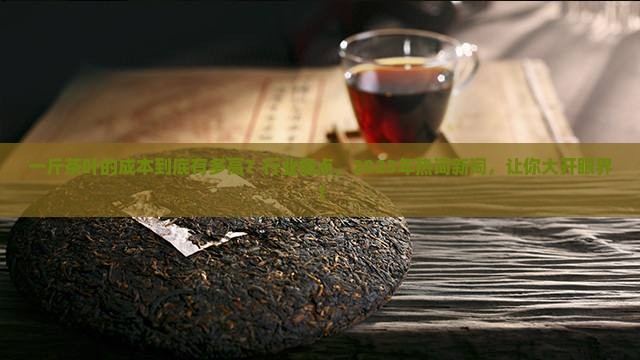 一斤茶叶的成本