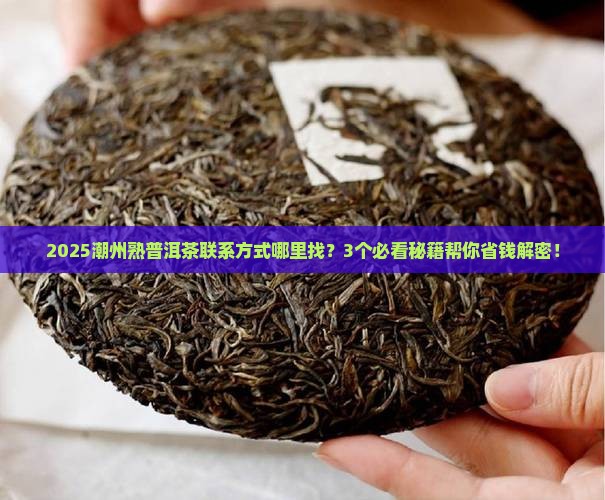 潮州熟普洱茶联系方式