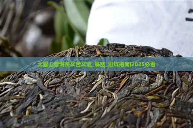 大雪山普洱茶又苦又涩