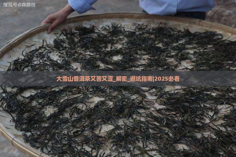 大雪山普洱茶又苦又涩