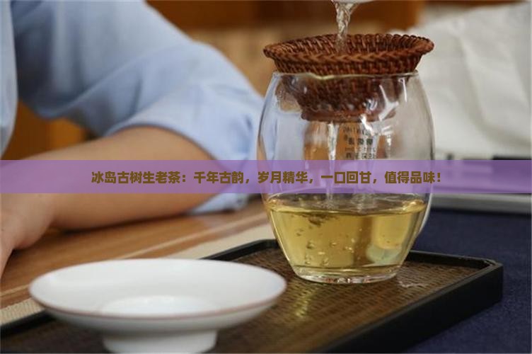 冰岛古树生老茶
