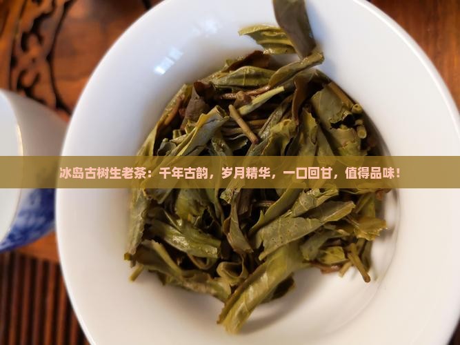 冰岛古树生老茶