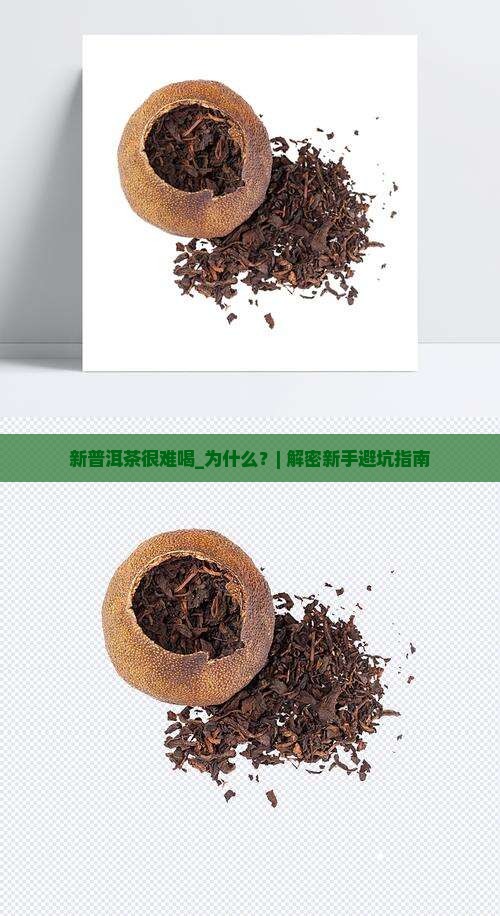 新普洱茶很难喝