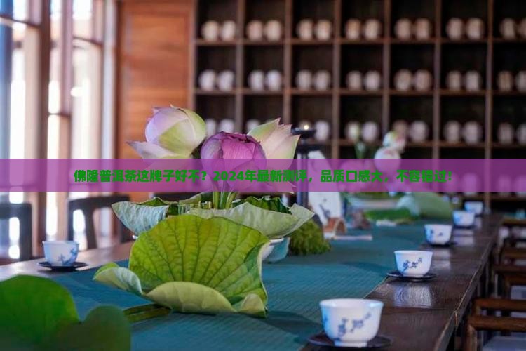 佛隆普洱茶这牌子好不